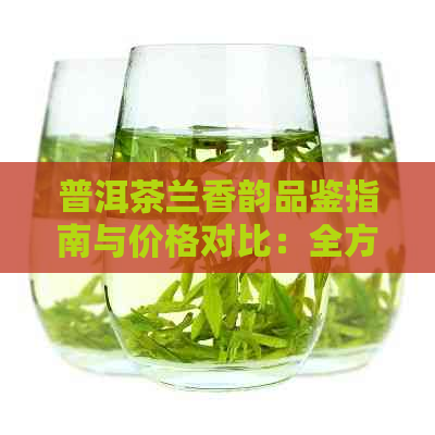 普洱茶兰香韵品鉴指南与价格对比：全方位了解这款茶的品质和性价比