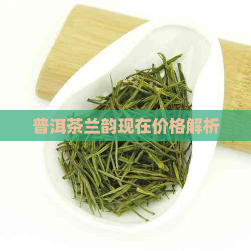 普洱茶兰韵现在价格解析