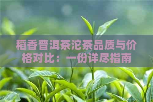 稻香普洱茶沱茶品质与价格对比：一份详尽指南