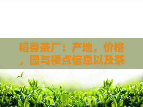 稻香茶厂：产地，价格，园与楼点信息以及茶叶品种