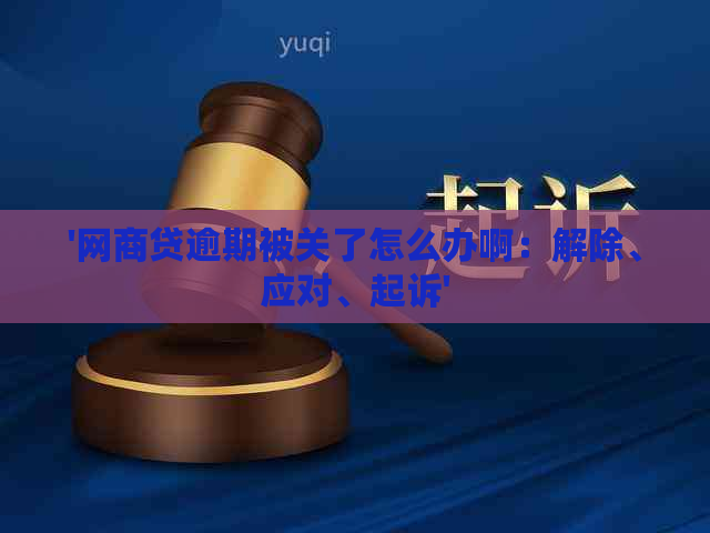 '网商贷逾期被关了怎么办啊：解除、应对、起诉'