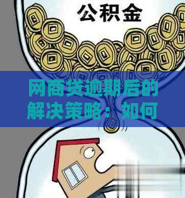 网商贷逾期后的解决策略：如何重新获得贷款额度并避免再次逾期？