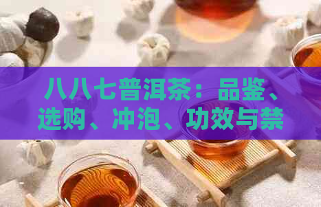 八八七普洱茶：品鉴、选购、冲泡、功效与禁忌的全面指南