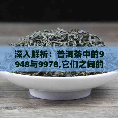 深入解析：普洱茶中的9948与9978,它们之间的独特区别在哪里？