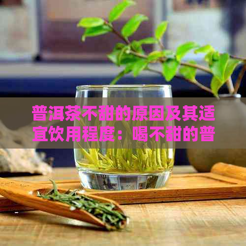 普洱茶不甜的原因及其适宜饮用程度：喝不甜的普洱茶是否合适？