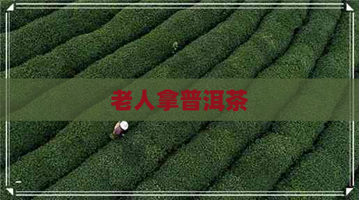 老人拿普洱茶