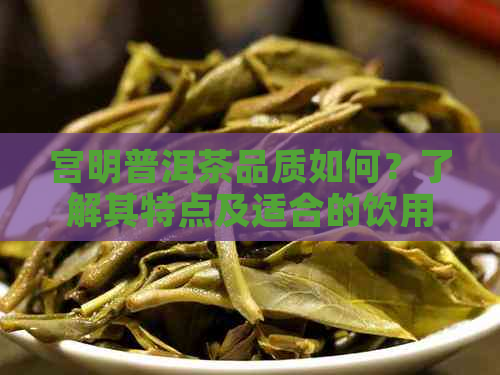 宫明普洱茶品质如何？了解其特点及适合的饮用方式