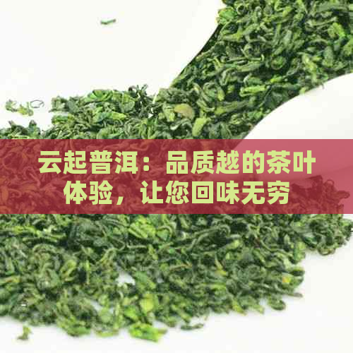 云起普洱：品质越的茶叶体验，让您回味无穷