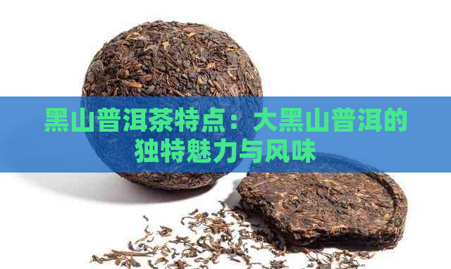 黑山普洱茶特点：大黑山普洱的独特魅力与风味