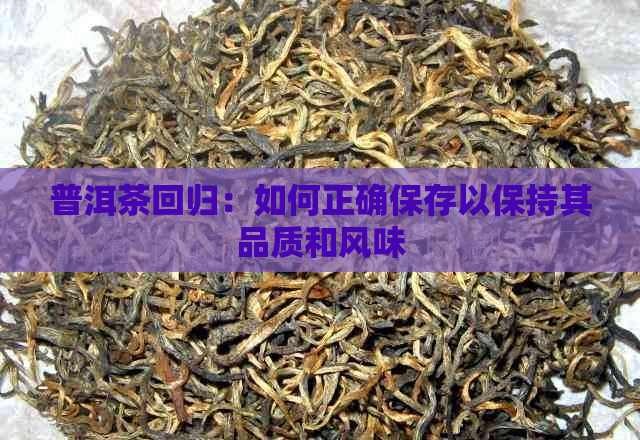 普洱茶回归：如何正确保存以保持其品质和风味