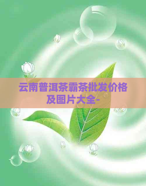 云南普洱茶霸茶批发价格及图片大全-