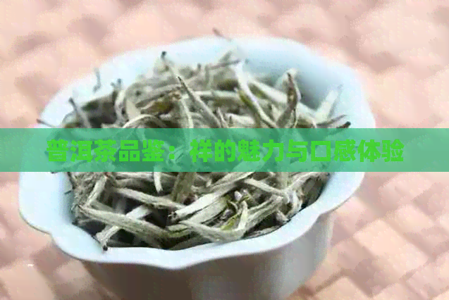 普洱茶品鉴：祥的魅力与口感体验