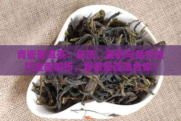 青瓷普洱茶：品质、鉴别与品饮技巧全面解析，看看是否适合你？