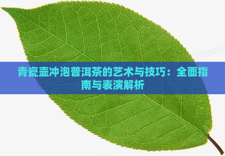 青瓷壶冲泡普洱茶的艺术与技巧：全面指南与表演解析