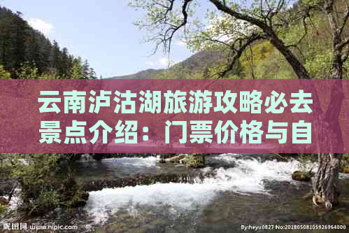 云南泸沽湖旅游攻略必去景点介绍：门票价格与自由行攻略全解析