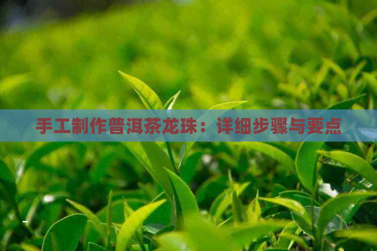 手工制作普洱茶龙珠：详细步骤与要点