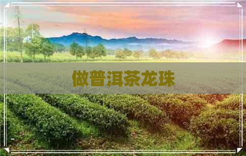 做普洱茶龙珠