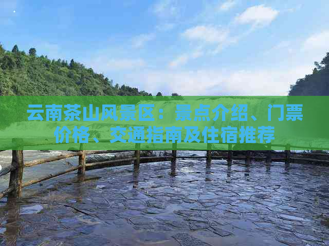 云南茶山风景区：景点介绍、门票价格、交通指南及住宿推荐