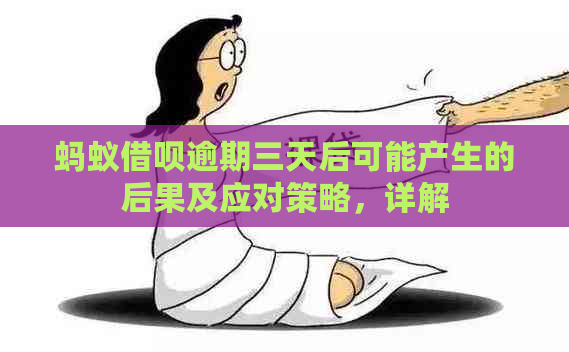 蚂蚁借呗逾期三天后可能产生的后果及应对策略，详解