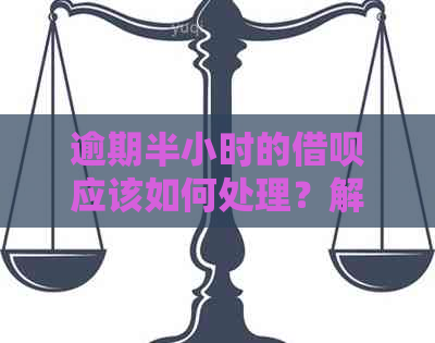 逾期半小时的借呗应该如何处理？解决用户搜索的全面问题