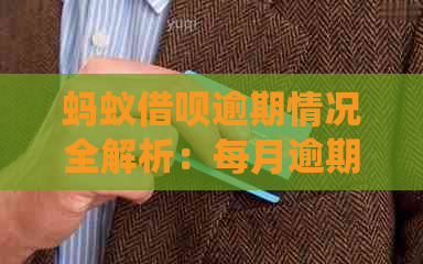 蚂蚁借呗逾期情况全解析：每月逾期人数统计及影响分析