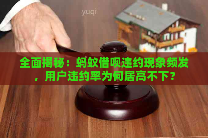 全面揭秘：蚂蚁借呗违约现象频发，用户违约率为何居高不下？