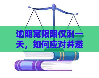 逾期宽限期仅剩一天，如何应对并避免影响信用记录？