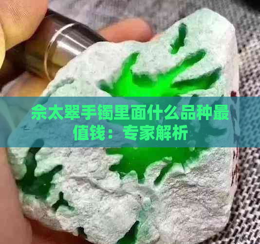 佘太翠手镯里面什么品种最值钱：专家解析