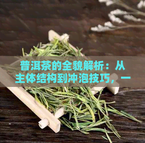 普洱茶的全貌解析：从主体结构到冲泡技巧，一应俱全！