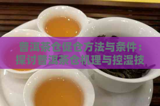 普洱茶仓促仓方法与条件：探讨普洱茶仓机理与控湿技巧，囤茶科学体系。