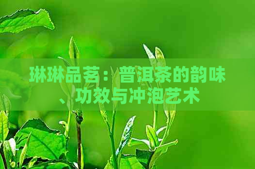 琳琳品茗：普洱茶的韵味、功效与冲泡艺术