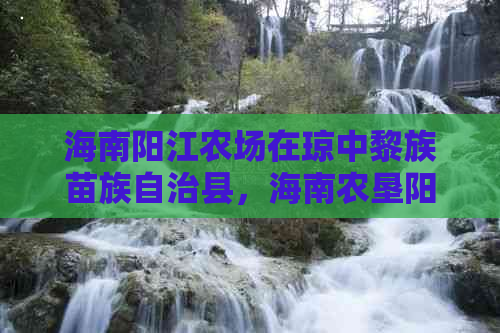 海南阳江农场在琼中黎族苗族自治县，海南农垦阳江农场及医院介绍