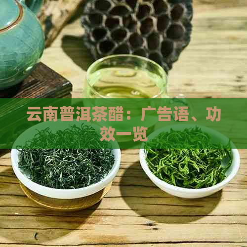 云南普洱茶醋：广告语、功效一览