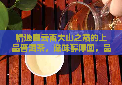 精选自云南大山之巅的上品普洱茶，滋味醇厚回，品味人生新境界