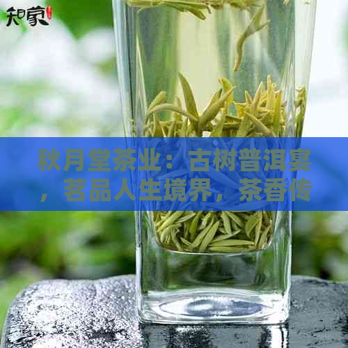 秋月堂茶业：古树普洱宴，茗品人生境界，茶香传承千年，茶艺独步天下。