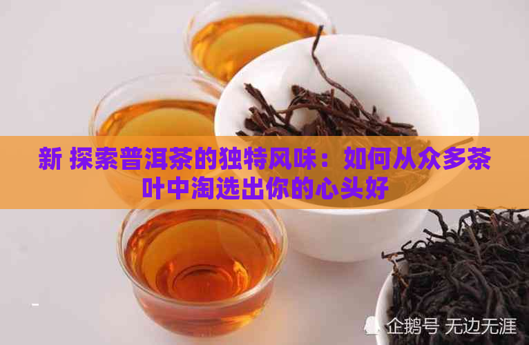 新 探索普洱茶的独特风味：如何从众多茶叶中淘选出你的心头好