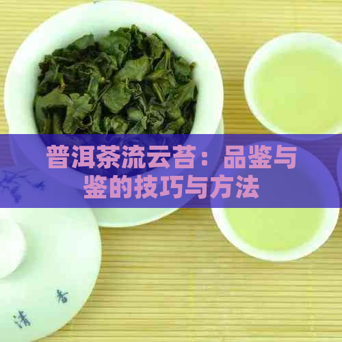 普洱茶流云苔：品鉴与鉴的技巧与方法