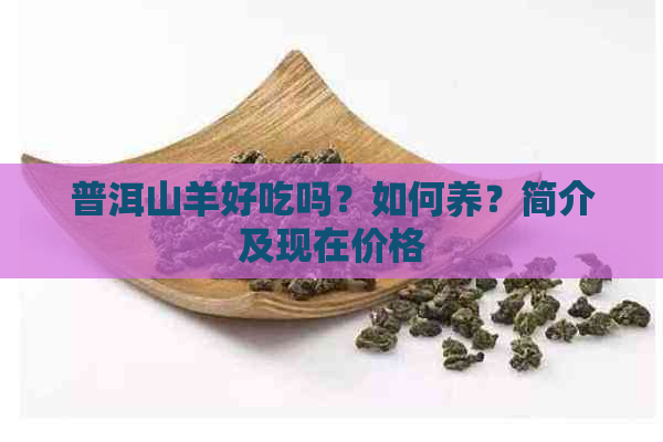 普洱山羊好吃吗？如何养？简介及现在价格