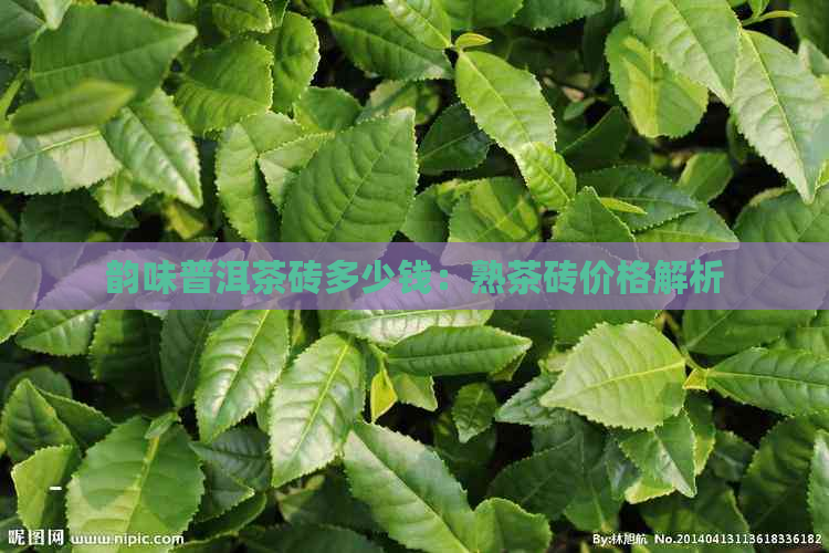 韵味普洱茶砖多少钱：熟茶砖价格解析