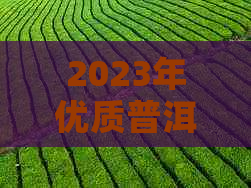 2023年优质普洱茶叶排行榜：专家推荐的十大名茶系列