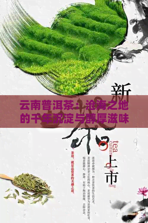 云南普洱茶：沧海之地的千年沉淀与醇厚滋味