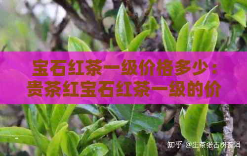 宝石红茶一级价格多少：贵茶红宝石红茶一级的价格是多少？