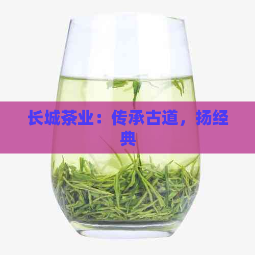 长城茶业：传承古道，扬经典