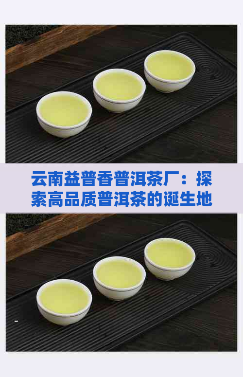 云南益普香普洱茶厂：探索高品质普洱茶的诞生地与生产工艺