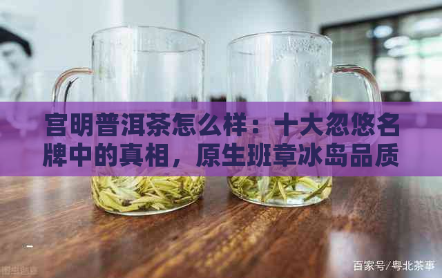 宫明普洱茶怎么样：十大忽悠名牌中的真相，原生班章冰岛品质解析