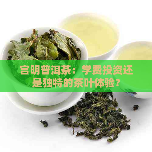 宫明普洱茶：学费投资还是独特的茶叶体验？