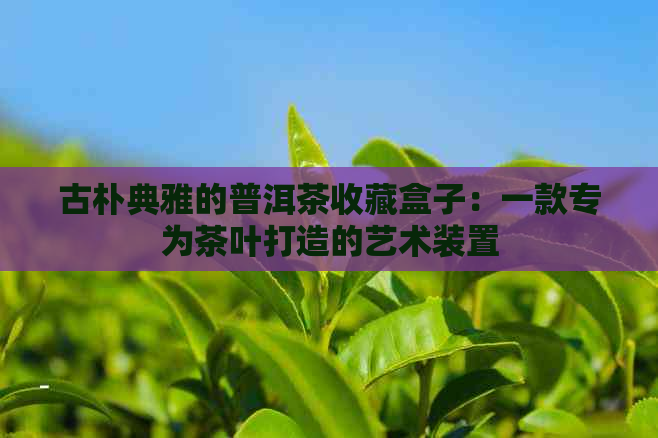 古朴典雅的普洱茶收藏盒子：一款专为茶叶打造的艺术装置