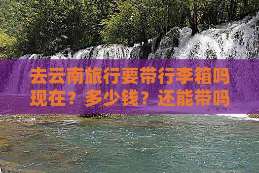 去云南旅行要带行李箱吗现在？多少钱？还能带吗？