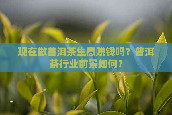 现在做普洱茶生意赚钱吗？普洱茶行业前景如何？