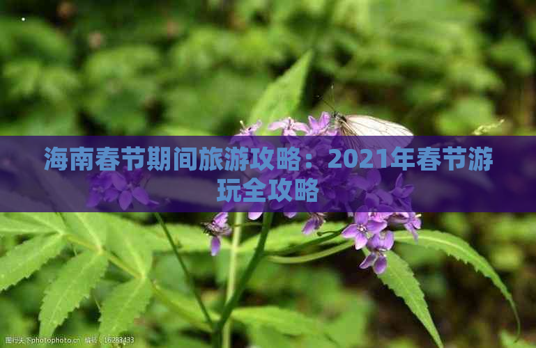 海南春节期间旅游攻略：2021年春节游玩全攻略